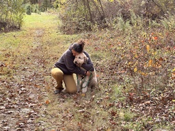 Person with Dog in Autumn