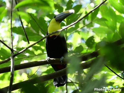 Costa Rica Photo Journey