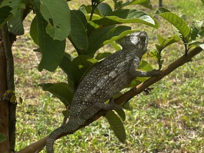 Madagascar Photo Journey